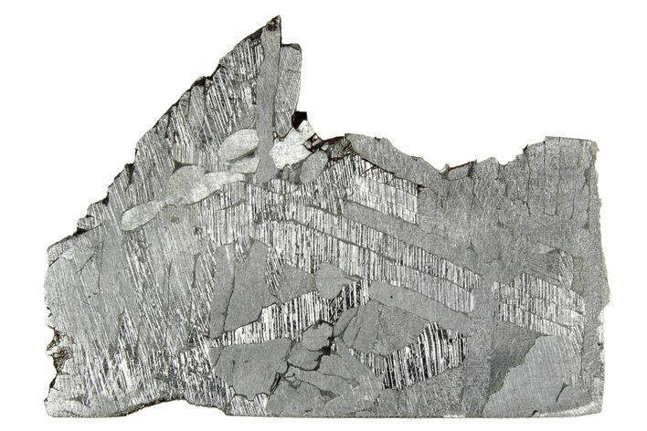 Etched Toluca Iron Meteorite ( g) Slice - Mexico #346483